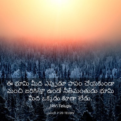 Picture 03 - ప్రసంగి 7:20 TELIRV - ఈ భూమి మీద ఎప్పుడూ - Bible Verse Picture