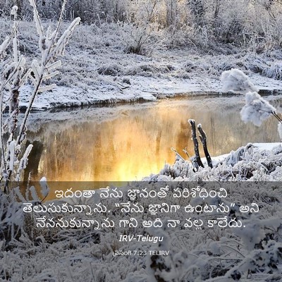 Picture 03 - ప్రసంగి 7:23 TELIRV - ఇదంతా నేను - Bible Verse Picture