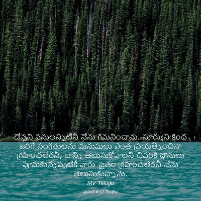 Picture 03 - ప్రసంగి 8:17 TELIRV - దేవుని - Bible Verse Picture