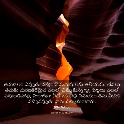 Picture 03 - ప్రసంగి 9:12 TELIRV - తమకాలం ఎప్పుడు - Bible Verse Picture