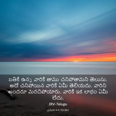 Picture 03 - ప్రసంగి 9:5 TELIRV - బతికి ఉన్న వారికి - Bible Verse Picture