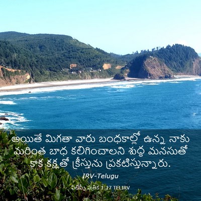 Picture 03 - ఫిలిప్పీ పత్రిక 1:17 TELIRV - అయితే మిగతా వారు - Bible Verse Picture