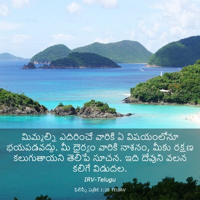 Picture 03 - ఫిలిప్పీ పత్రిక 1:28 TELIRV - మిమ్మల్ని - Bible Verse Picture