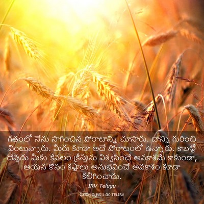Picture 03 - ఫిలిప్పీ పత్రిక 1:30 TELIRV - గతంలో నేను - Bible Verse Picture
