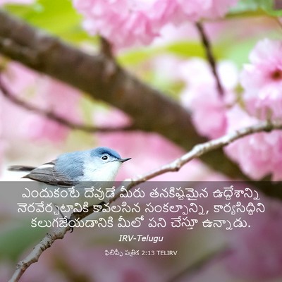 Picture 03 - ఫిలిప్పీ పత్రిక 2:13 TELIRV - ఎందుకంటే దేవుడే - Bible Verse Picture