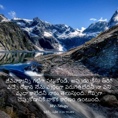 Picture 03 - ఫిలిప్పీ పత్రిక 2:16 TELIRV - జీవవాక్యాన్ని - Bible Verse Picture
