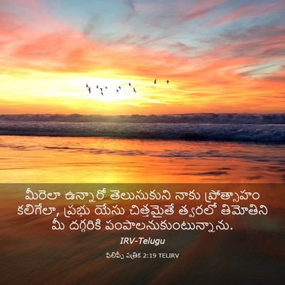 Picture 03 - ఫిలిప్పీ పత్రిక 2:19 TELIRV - మీరెలా ఉన్నారో - Bible Verse Picture