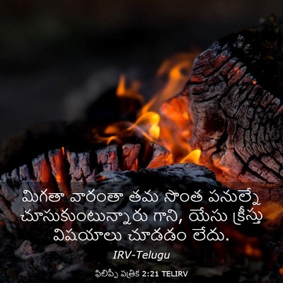 Picture 03 - ఫిలిప్పీ పత్రిక 2:21 TELIRV - మిగతా వారంతా తమ - Bible Verse Picture