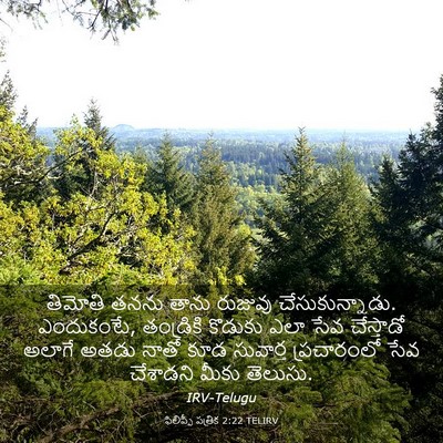 Picture 03 - ఫిలిప్పీ పత్రిక 2:22 TELIRV - తిమోతి తనను తాను - Bible Verse Picture