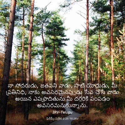 Picture 03 - ఫిలిప్పీ పత్రిక 2:25 TELIRV - నా సోదరుడు, జతపని - Bible Verse Picture