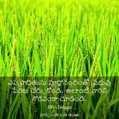 Picture 03 - ఫిలిప్పీ పత్రిక 2:29 TELIRV - ఎపఫ్రొదితును - Bible Verse Picture