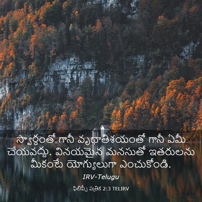 Picture 03 - ఫిలిప్పీ పత్రిక 2:3 TELIRV - స్వార్ధంతో గానీ - Bible Verse Picture