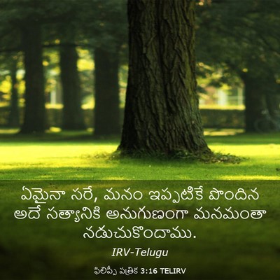 Picture 03 - ఫిలిప్పీ పత్రిక 3:16 TELIRV - ఏమైనా సరే, మనం - Bible Verse Picture