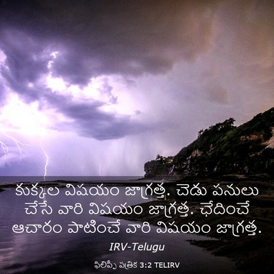 Picture 03 - ఫిలిప్పీ పత్రిక 3:2 TELIRV - కుక్కల విషయం - Bible Verse Picture