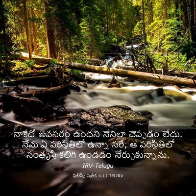 Picture 03 - ఫిలిప్పీ పత్రిక 4:11 TELIRV - నాకేదో అవసరం - Bible Verse Picture