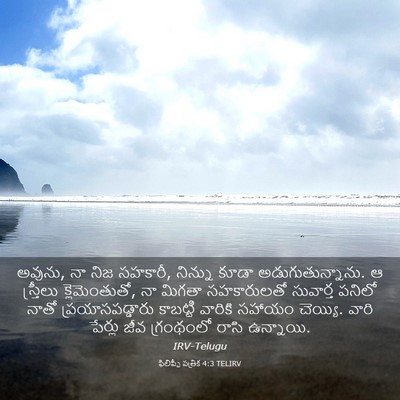 Picture 03 - ఫిలిప్పీ పత్రిక 4:3 TELIRV - అవును, నా నిజ - Bible Verse Picture