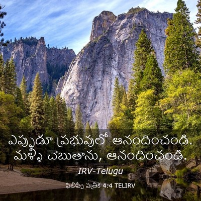 Picture 03 - ఫిలిప్పీ పత్రిక 4:4 TELIRV - ఎప్పుడూ ప్రభువులో - Bible Verse Picture