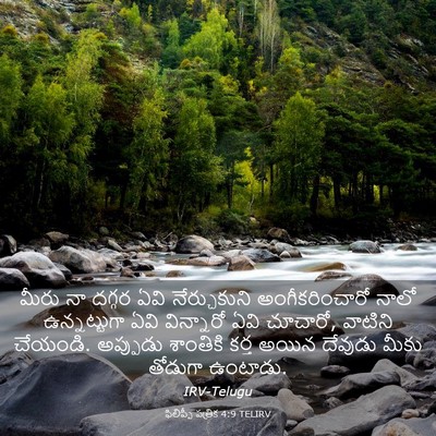Picture 03 - ఫిలిప్పీ పత్రిక 4:9 TELIRV - మీరు నా దగ్గర ఏవి - Bible Verse Picture