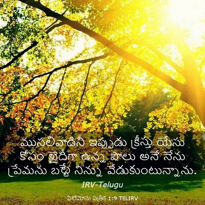 Picture 03 - ఫిలేమోను పత్రిక 1:9 TELIRV - ముసలివాడినీ - Bible Verse Picture