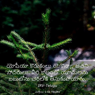 Picture 03 - మత్తయి 1:11 TELIRV - యోషీయా కొడుకులు - Bible Verse Picture
