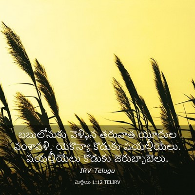 Picture 03 - మత్తయి 1:12 TELIRV - బబులోనుకు వెళ్ళిన - Bible Verse Picture