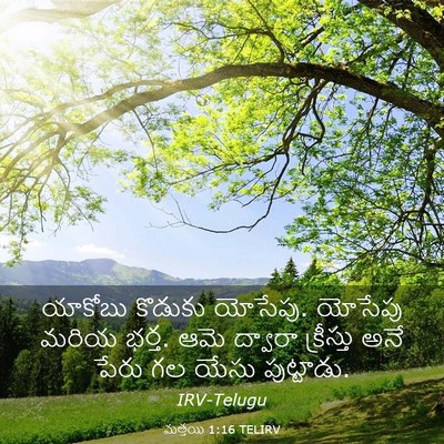 Picture 03 - మత్తయి 1:16 TELIRV - యాకోబు కొడుకు - Bible Verse Picture