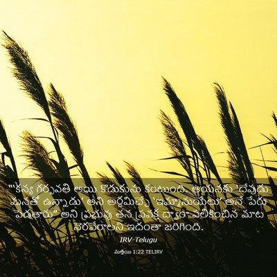 Picture 03 - మత్తయి 1:22 TELIRV - “‘కన్య గర్భవతి - Bible Verse Picture