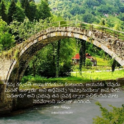 Picture 03 - మత్తయి 1:23 TELIRV - “‘కన్య గర్భవతి - Bible Verse Picture