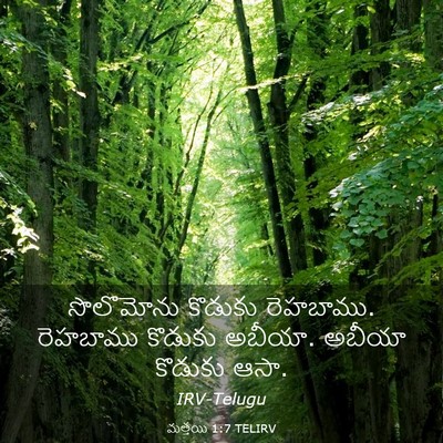 Picture 03 - మత్తయి 1:7 TELIRV - సొలొమోను కొడుకు - Bible Verse Picture