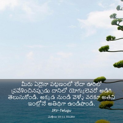 Picture 03 - మత్తయి 10:11 TELIRV - మీరు ఏదైనా - Bible Verse Picture