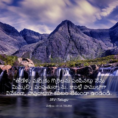 Picture 03 - మత్తయి 10:16 TELIRV - “తోడేళ్ళ మధ్యకు - Bible Verse Picture
