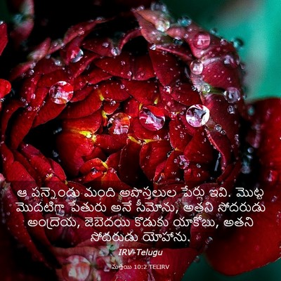Picture 03 - మత్తయి 10:2 TELIRV - ఆ పన్నెండు మంది - Bible Verse Picture