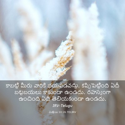 Picture 03 - మత్తయి 10:26 TELIRV - కాబట్టి మీరు - Bible Verse Picture