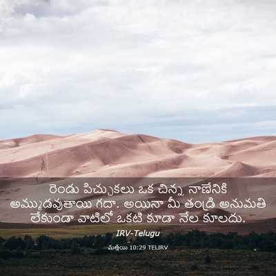 Picture 03 - మత్తయి 10:29 TELIRV - రెండు పిచ్చుకలు - Bible Verse Picture