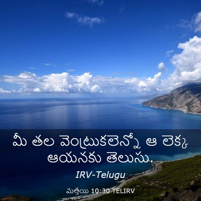 Picture 03 - మత్తయి 10:30 TELIRV - మీ తల - Bible Verse Picture