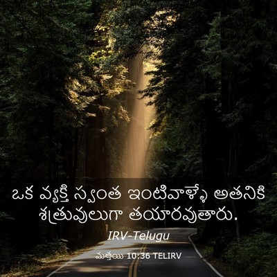Picture 03 - మత్తయి 10:36 TELIRV - ఒక వ్యక్తి స్వంత - Bible Verse Picture