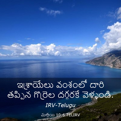 Picture 03 - మత్తయి 10:6 TELIRV - ఇశ్రాయేలు వంశంలో - Bible Verse Picture