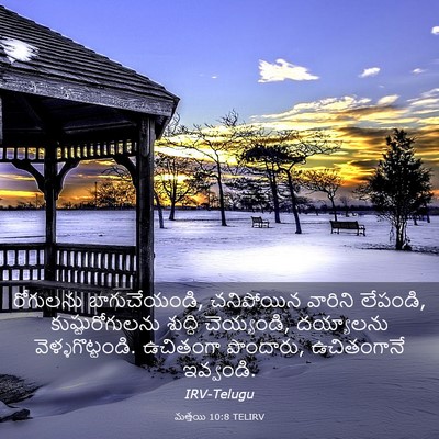 Picture 03 - మత్తయి 10:8 TELIRV - రోగులను - Bible Verse Picture