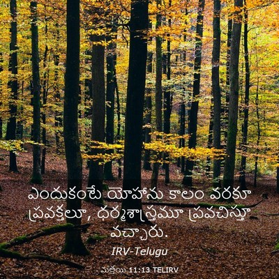 Picture 03 - మత్తయి 11:13 TELIRV - ఎందుకంటే యోహాను - Bible Verse Picture