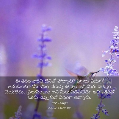 Picture 03 - మత్తయి 11:16 TELIRV - ఈ తరం వారిని - Bible Verse Picture