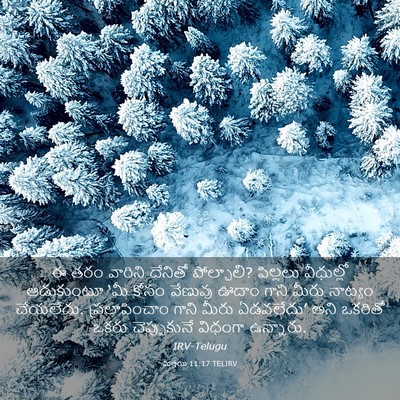 Picture 03 - మత్తయి 11:17 TELIRV - ఈ తరం వారిని - Bible Verse Picture