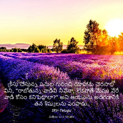 Picture 03 - మత్తయి 11:2 TELIRV - క్రీస్తు - Bible Verse Picture