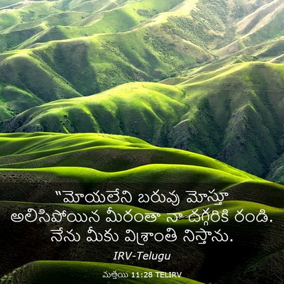 Picture 03 - మత్తయి 11:28 TELIRV - “మోయలేని బరువు - Bible Verse Picture