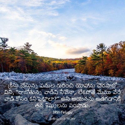 Picture 03 - మత్తయి 11:3 TELIRV - క్రీస్తు - Bible Verse Picture