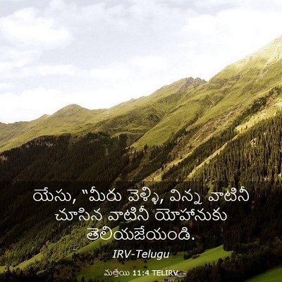 Picture 03 - మత్తయి 11:4 TELIRV - యేసు, “మీరు వెళ్ళి, - Bible Verse Picture
