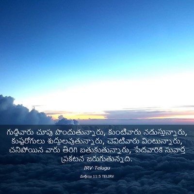 Picture 03 - మత్తయి 11:5 TELIRV - గుడ్డివారు చూపు - Bible Verse Picture