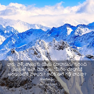 Picture 03 - మత్తయి 11:7 TELIRV - వారు - Bible Verse Picture