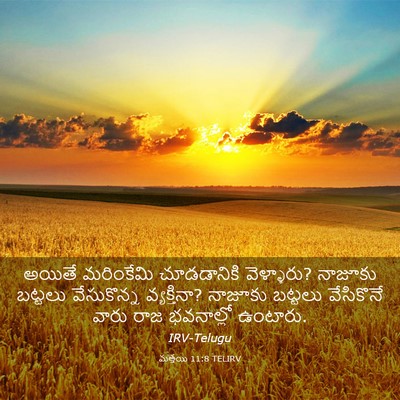Picture 03 - మత్తయి 11:8 TELIRV - అయితే మరింకేమి - Bible Verse Picture