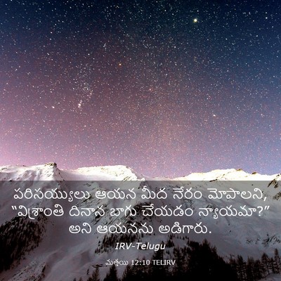 Picture 03 - మత్తయి 12:10 TELIRV - పరిసయ్యులు ఆయన - Bible Verse Picture