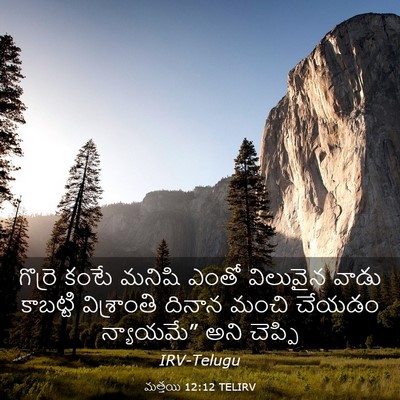 Picture 03 - మత్తయి 12:12 TELIRV - గొర్రె కంటే మనిషి - Bible Verse Picture
